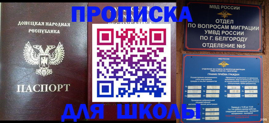 прописка для работы в Бавлах
